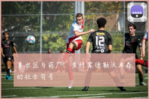 鲁尔区与药厂：多特蒙德勒沃库森的社会符号
