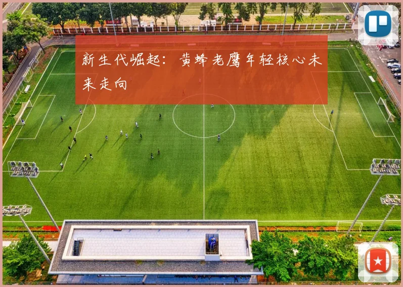 新生代崛起：黄蜂老鹰年轻核心未来走向